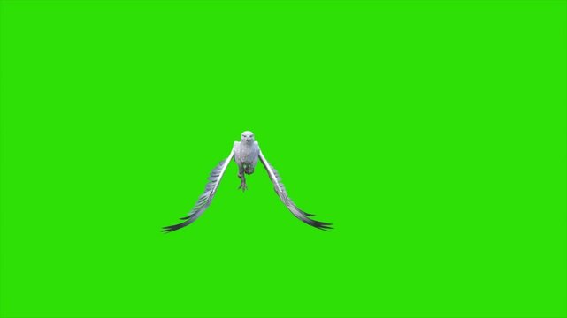 Green Screen Hippogriff Mythological Creature Fly Front 3D Animation Rendering CGI 4K