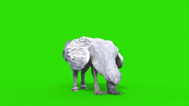 Green Screen Hippogriff Mythological Creature Eats Loop Front 3D Animation Rendering CGI 4K