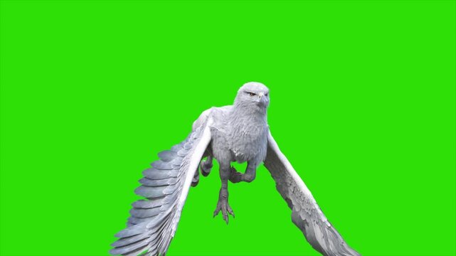 Green Screen Hippogriff Mythological Creature Fly Loop 3D Animation Rendering CGI 4K