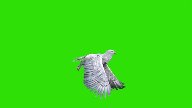Green Screen Hippogriff Mythological Creature Fly Loop Side 3D Animation Rendering CGI 4K