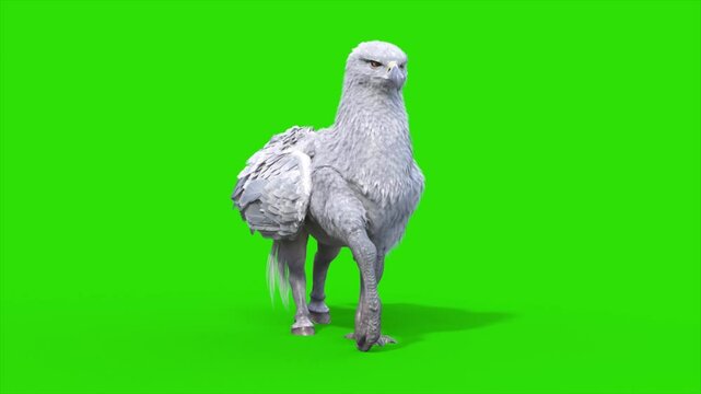 Green Screen Hippogriff Mythological Creature Walkcycle Loop 3D Animation Rendering CGI 4K