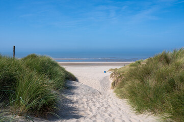 Dunes with beach grass and the sea