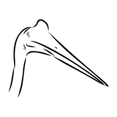 ajarhid, vector sketch flying dinosaur - black and white vector illustration