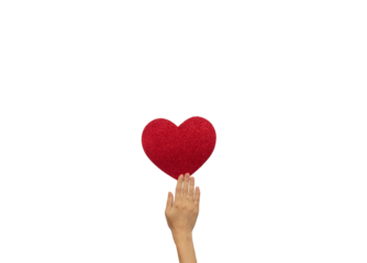 Female hand holds a red shiny heart. Template for designers on white background