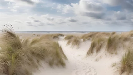  Beach view from the path sand between the dunes at Dutch coastline. Marram grass, Netherlands. The dunes or dyke at Dutch north sea coast