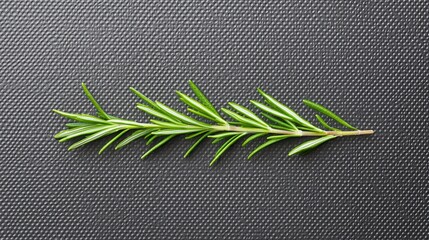 Obraz premium Freshly picked rosemary herbal display kitchen surface culinary environment close-up view natural aromatics