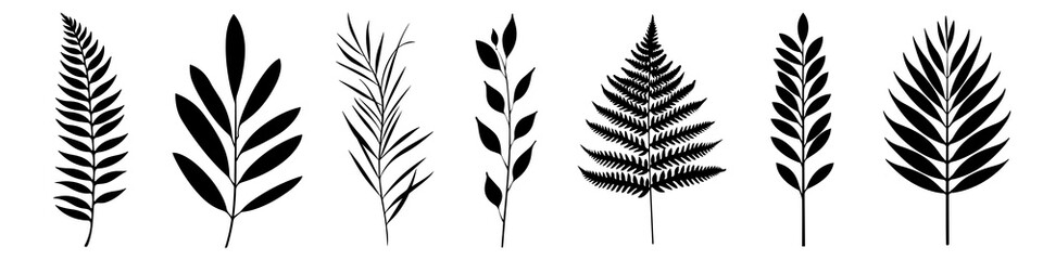 Fototapeta premium PNG Silhouettes of diverse leaves, element set on transparent background