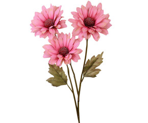 Obraz premium Delicate Pink Dahlia Bouquet: A Stunning Floral Arrangement , isolated on white background PNG
