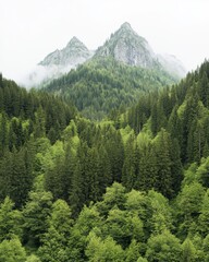 Obraz premium Majestic mountain peaks surrounded by dense green forests under soft light highlighting pristine natural beauty outdoor serenity and adventure filled landscapes