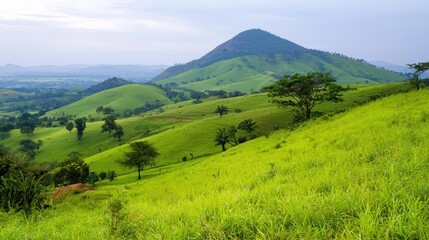 Fototapeta premium Serene Hillside Landscape