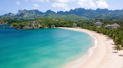 Obraz premium Tropical white sand beach with lush palm trees and crystal clear turquoise water under a bright blue sky evoking the essence of paradise and coastal serenity