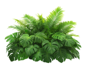 Stunning Tropical Foliage Arrangement: Lush Green Plants and Exotic Leaves , isolated on white background PNG