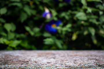 The soft focus allows the viewer to interpret the scene in a personal way.  