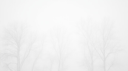 Obraz premium white painted wall