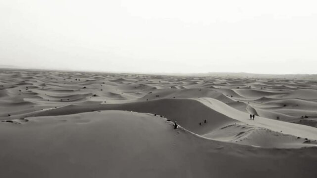 4K HD Grey Scale Golden Hour in a Dessert. The Warm glow of The Setting sun Over Vast Sand Dunes illustration Video.