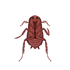 Dead cockroach. Red cockroach insect. Realistic Red cockroach  on white background. Top view. Vector.