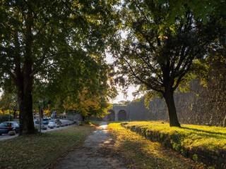 Sycamore Alley along the Old Fortress in Ioannina, Greece
