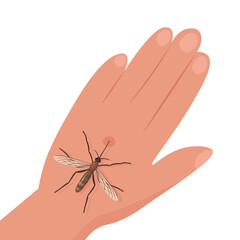 Realistic mosquito on white background. Top view. Vector.