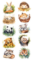 Obraz premium PNG Watercolor sleeping animal illustration element set, transparent background