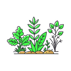 herb garden vector icon, herb garden vector illustration -simple illustration of herb garden, perfect for herb garden logos and icons and themed design 