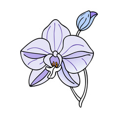 orchid flower vector icon, orchid flower vector illustration -simple illustration of orchid flower, perfect for orchid flower logos and icons and themed design 