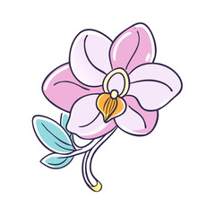 orchid flower vector icon, orchid flower vector illustration -simple illustration of orchid flower, perfect for orchid flower logos and icons and themed design 