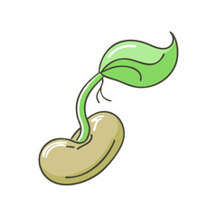 sprouting bean vector icon, sprouting bean vector illustration -simple illustration of sprouting bean, perfect for sprouting bean logos and icons and themed design 