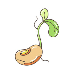 sprouting bean vector icon, sprouting bean vector illustration -simple illustration of sprouting bean, perfect for sprouting bean logos and icons and themed design 