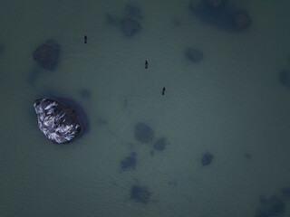 Aerial top down view of the Baltic Sea near Paljassaare Peninsula, Tallinn. Minimalistic...
