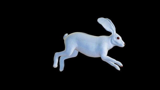 White Easter rabbit running, Easter egg hunting concept, loop, against black