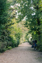 Obraz premium Bicycle parked on a pathway in nature