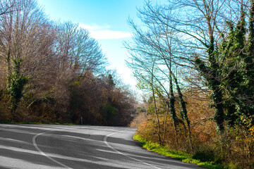 Curve forest road. Asphalt way in the countryside. Road trip idea concept. Nature. Horizontal photo. No people, nobody.