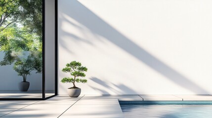 Serene Minimalist Poolside Oasis: Modern Bonsai Tree near Infinity Pool and Glass Wall