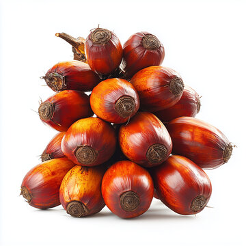 Oil Plam Fruit