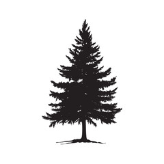 christmas tree isolated on white