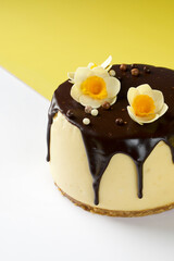 Chocolate-Glazed Cheesecake with Edible Flowers on a Yellow and White Background
