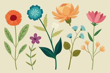 hand-drawn-botanical-flower-collection
