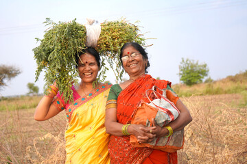 Rural Indian women in the field.