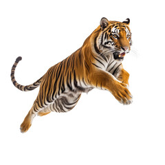 Big tiger jumping isolated on white © Tidarat