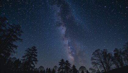 Majestic Milky Way Galaxy Over Silhouetted Trees at Night