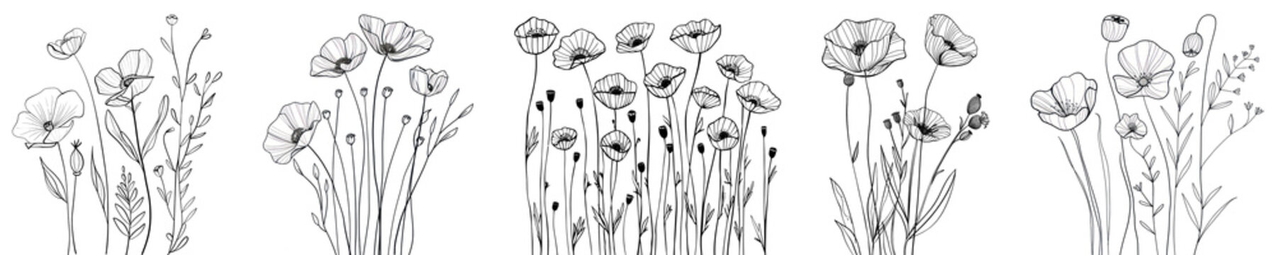 Drawing poppy flower illustration png cut out element set, transparent background