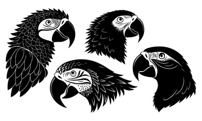 set of parrot head black  silhouettes vector
