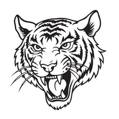 Fototapeta premium Angry tiger head with roaring mouth hand drawn sketch engraving style vector illustration.