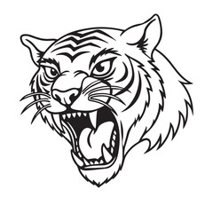 Fototapeta premium Angry tiger head with roaring mouth hand drawn sketch engraving style vector illustration.