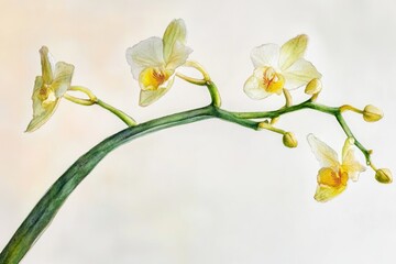 Obraz premium Close-up shot of a single flower on its stem