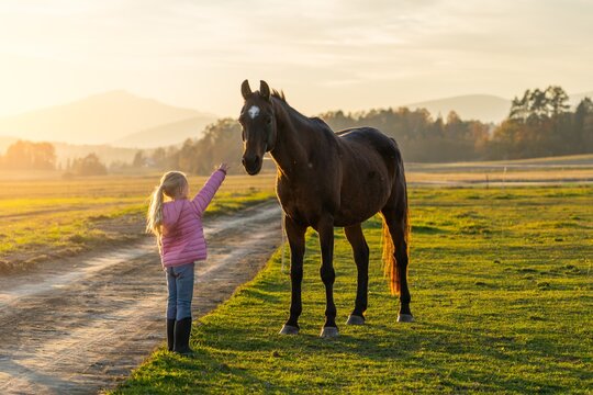 Girl interacts with a horse during sunset in a serene countryside landscape