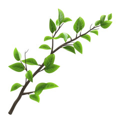 Lush green branch with vibrant leaves