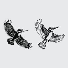 Fototapeta premium King fisher image silhouette vector art and illustration