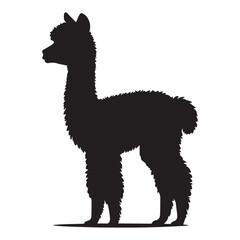 Fototapeta premium Alpaca silhouette vector illustration, Alpaca animal clipart Design 