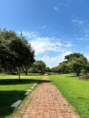 Brick path in the park